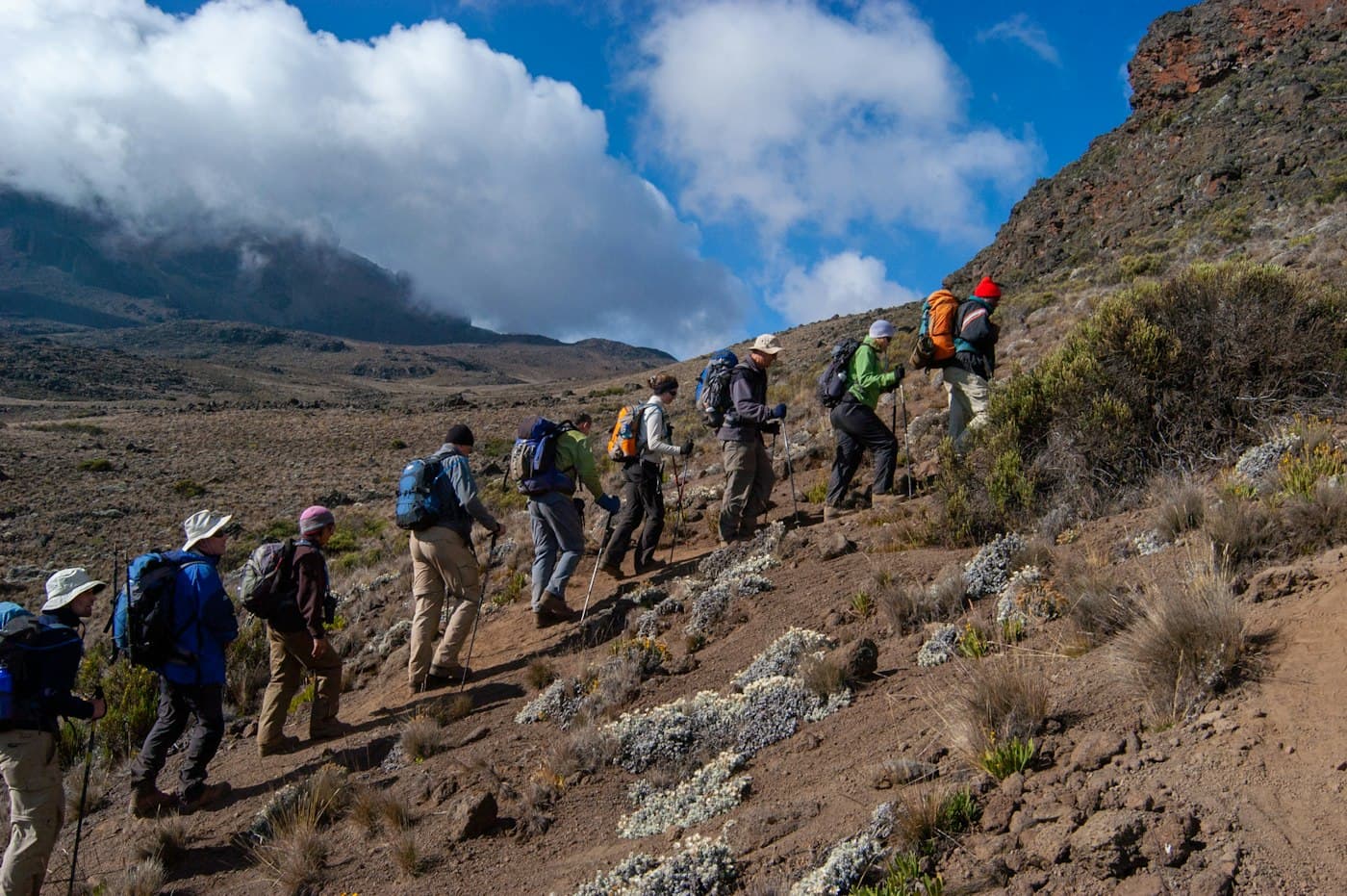 Mount Kilimanjaro Trek